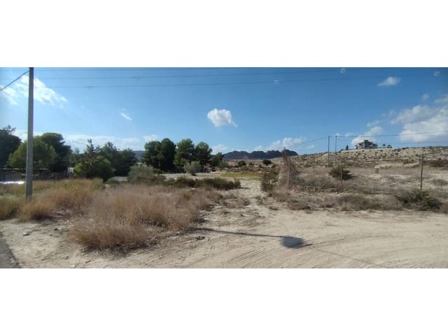 Undeveloped Land for sale in Molina de Segura - € 15,000 (Ref: 8543971)