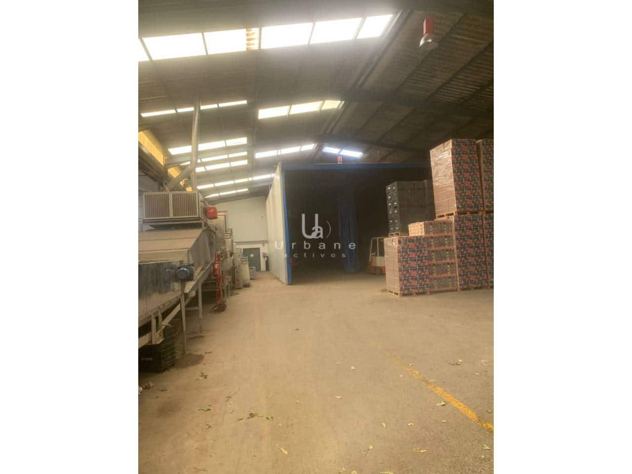 Bedrijf te koop in Los Ramos - € 790.000 (Ref: 8811999)