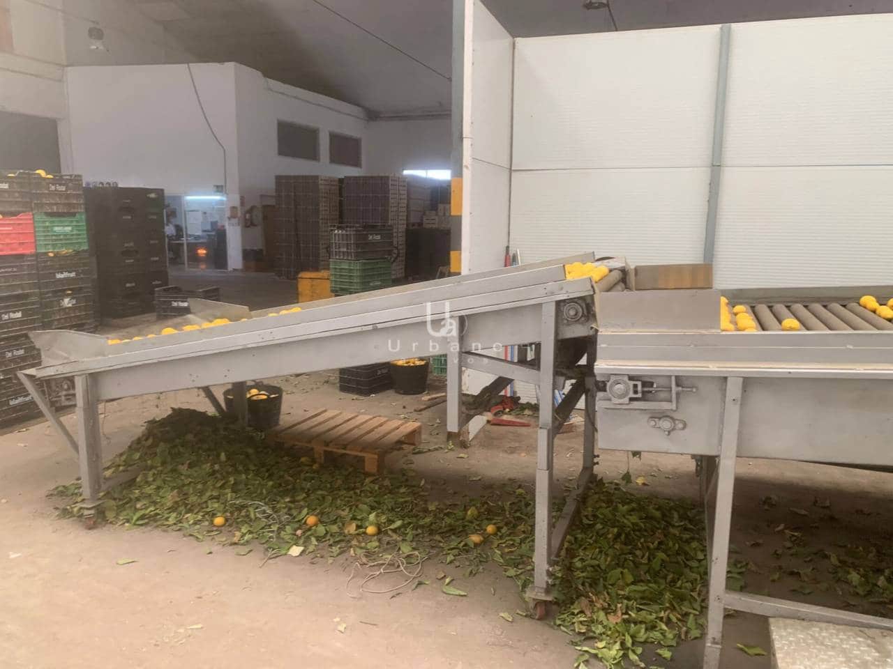 Bedrijf te koop in Los Ramos - € 790.000 (Ref: 8811999)