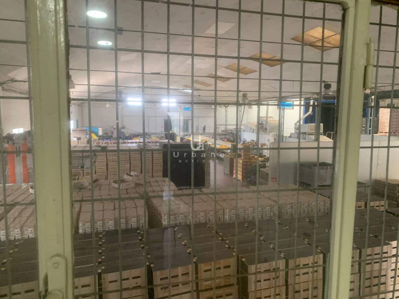 Bedrijf te koop in Los Ramos - € 790.000 (Ref: 8811999)