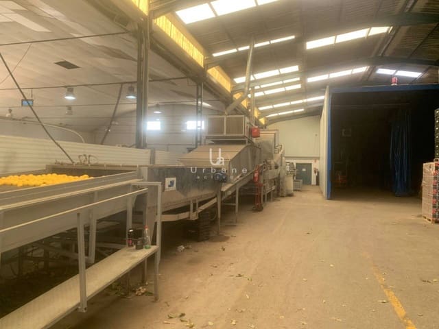 Bedrift til salgs i Los Ramos, Murcia by - € 790 000 (Ref: 8811999)