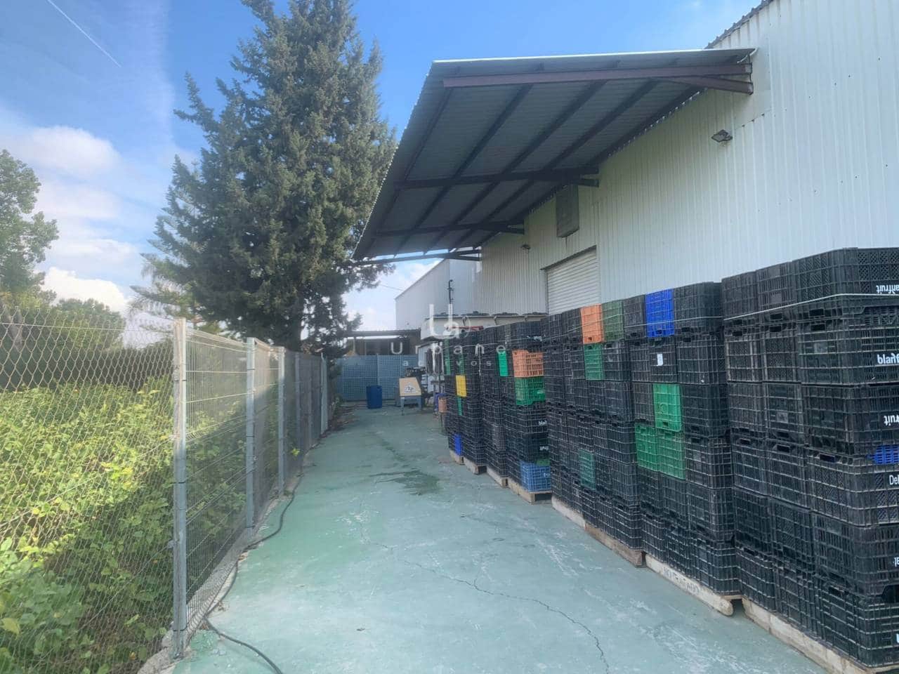 Bedrijf te koop in Los Ramos - € 790.000 (Ref: 8811999)