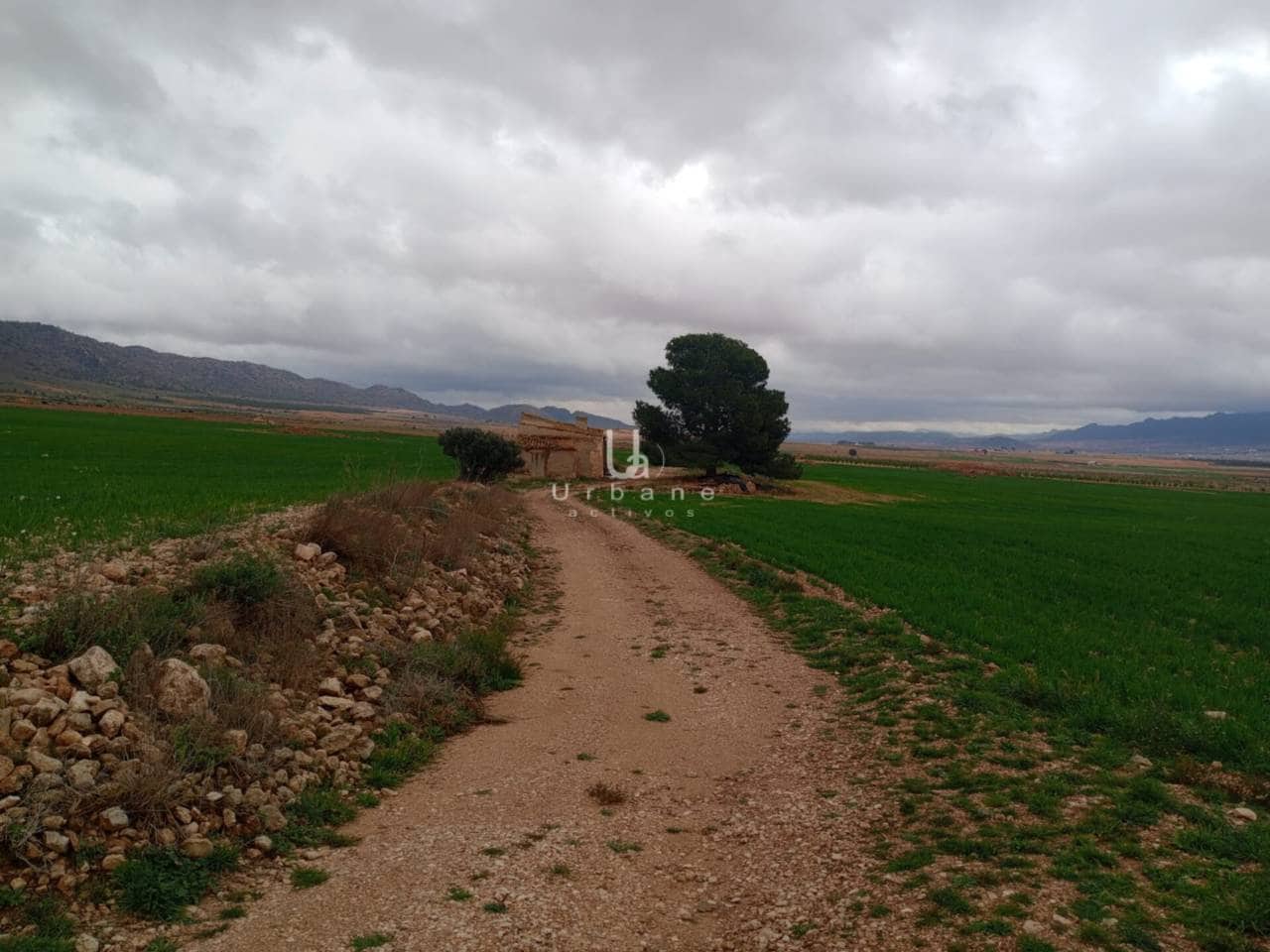 Terre non Aménagée à vendre à Jumilla - 15 000 € (Ref: 8881224)