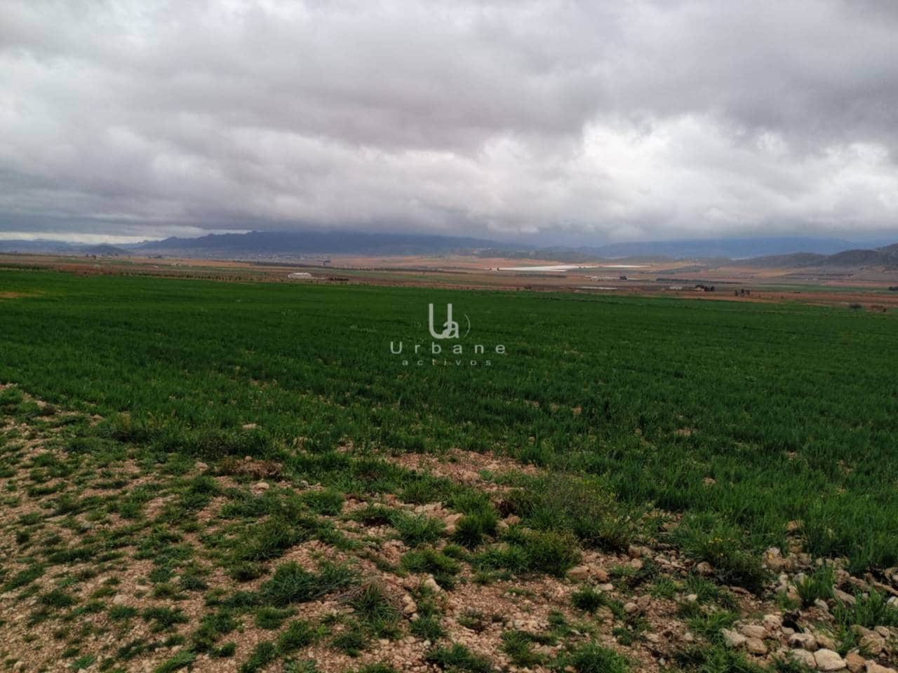 Terre non Aménagée à vendre à Jumilla - 15 000 € (Ref: 8881224)