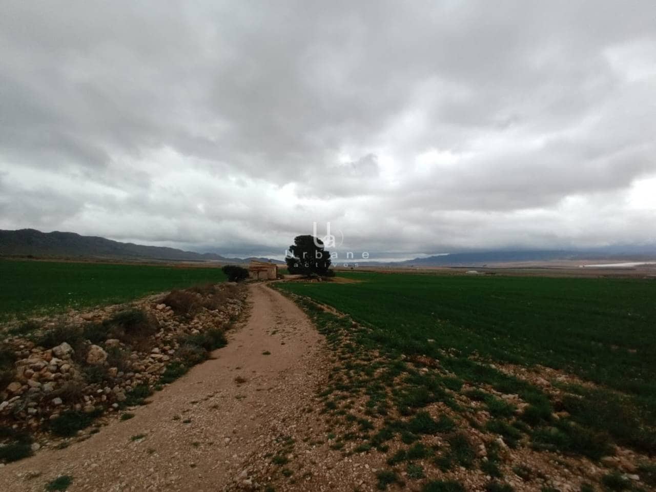 Terre non Aménagée à vendre à Jumilla - 15 000 € (Ref: 8881224)