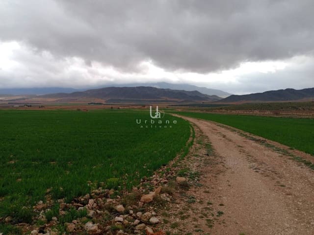 Undeveloped Land for sale in Jumilla - € 15,000 (Ref: 8881224)