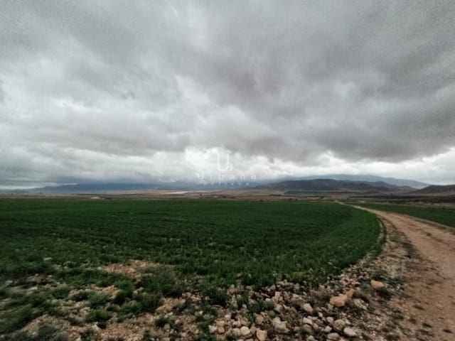 Undeveloped Land for sale in Jumilla - € 15,000 (Ref: 8881224)