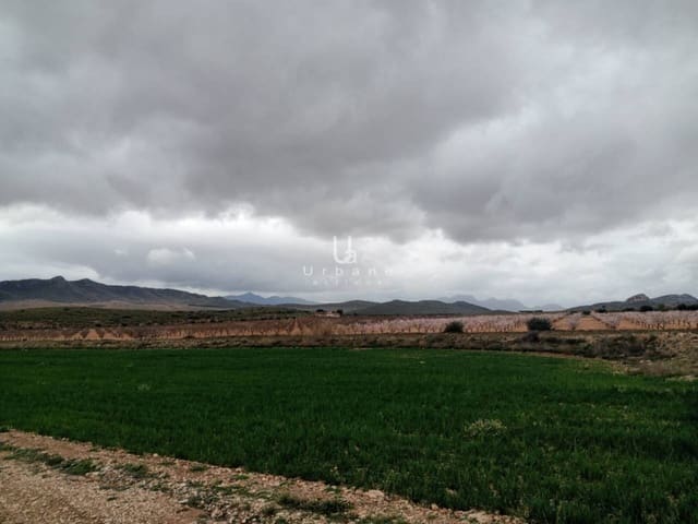 Undeveloped Land for sale in Jumilla - € 15,000 (Ref: 8881224)