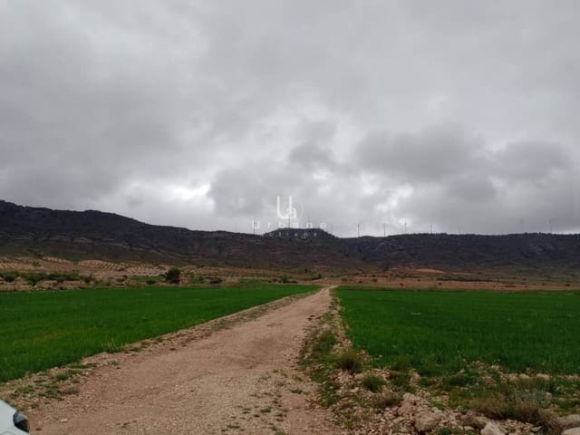 Undeveloped Land for sale in Jumilla - € 15,000 (Ref: 8881224)