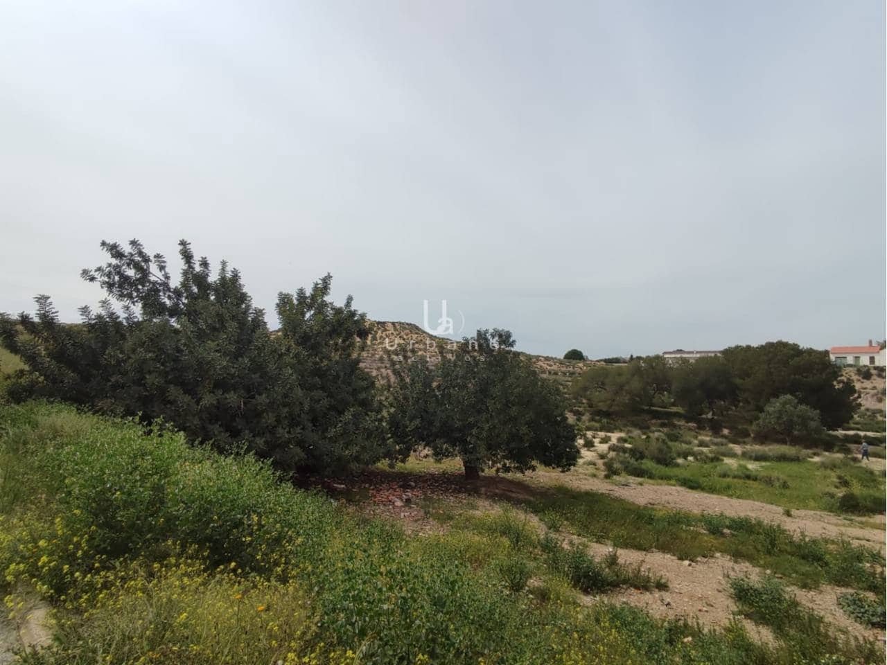 Grond te koop in Javali Nuevo - € 119.000 (Ref: 8953974)