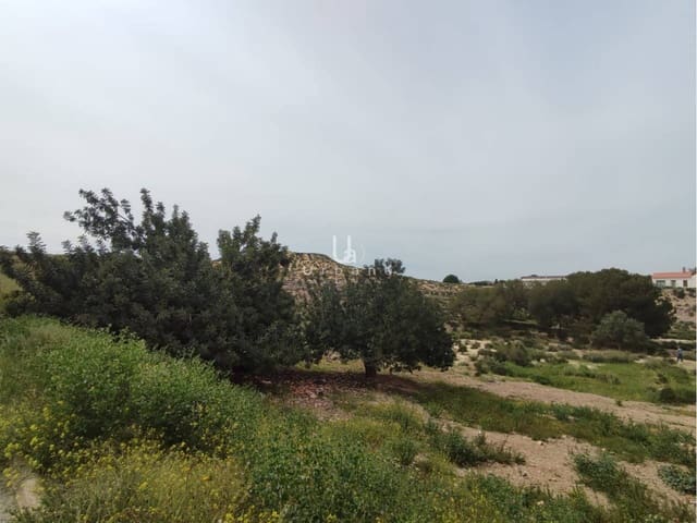 Grond te koop in Javali Nuevo, Murcia stad - € 119.000 (Ref: 8953974)