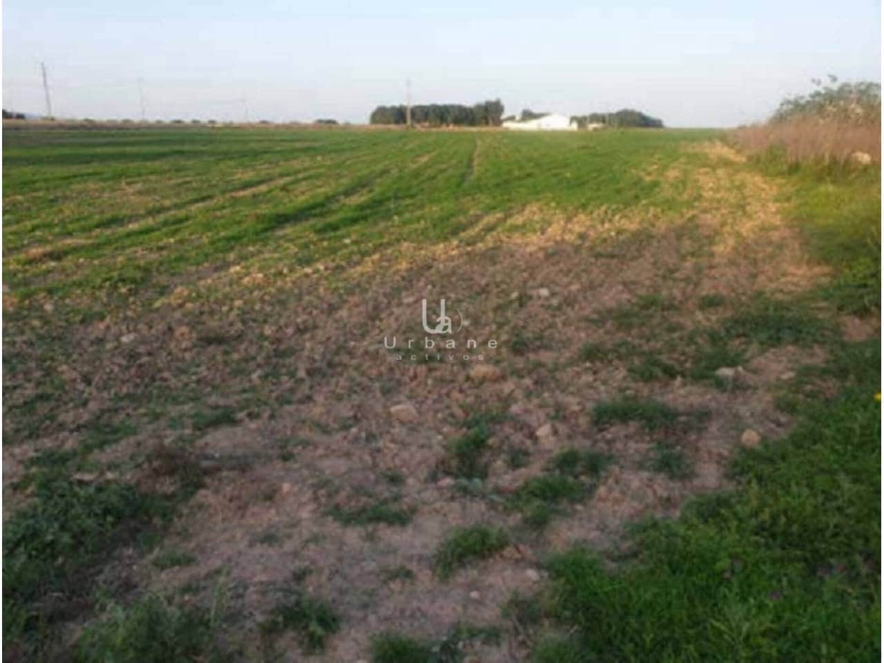 Grond te koop in Murcia stad - € 104.000 (Ref: 8967795)