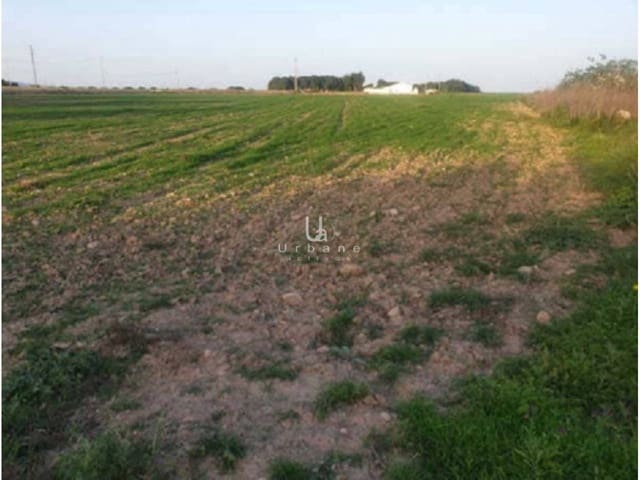 Undeveloped Land for sale in Murcia city - € 104,000 (Ref: 8967795)