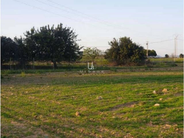 Undeveloped Land for sale in Murcia city - € 104,000 (Ref: 8967795)