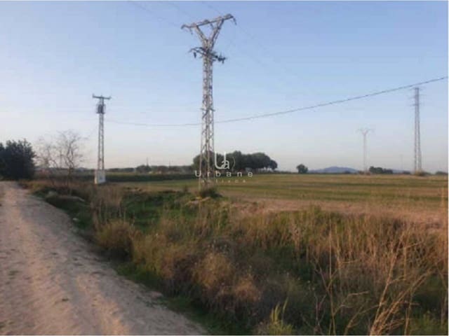 Undeveloped Land for sale in Murcia city - € 104,000 (Ref: 8967795)