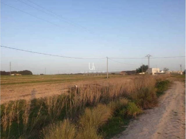 Undeveloped Land for sale in Murcia city - € 104,000 (Ref: 8967795)