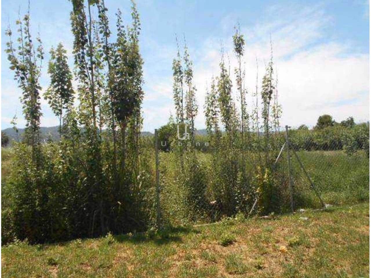 Ubebygd land til salgs i Aljucer - € 248 300 (Ref: 9074816)