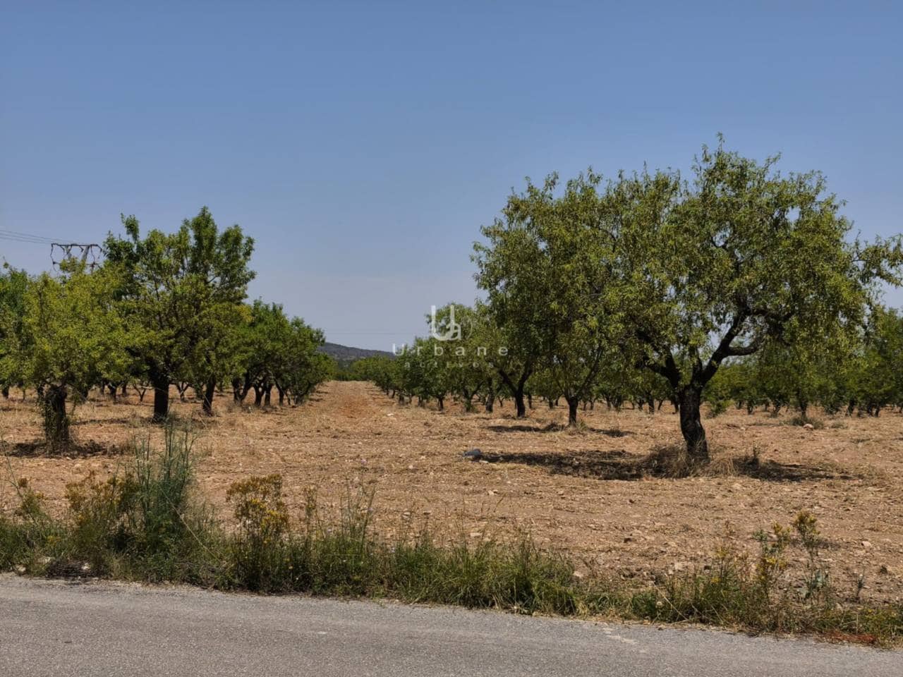 3 soverom Finca/Herregård til salgs i Mula med garasje - € 170 000 (Ref: 9077720)