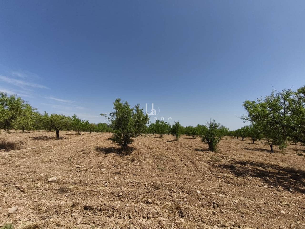 3 soverom Finca/Herregård til salgs i Mula med garasje - € 170 000 (Ref: 9077720)