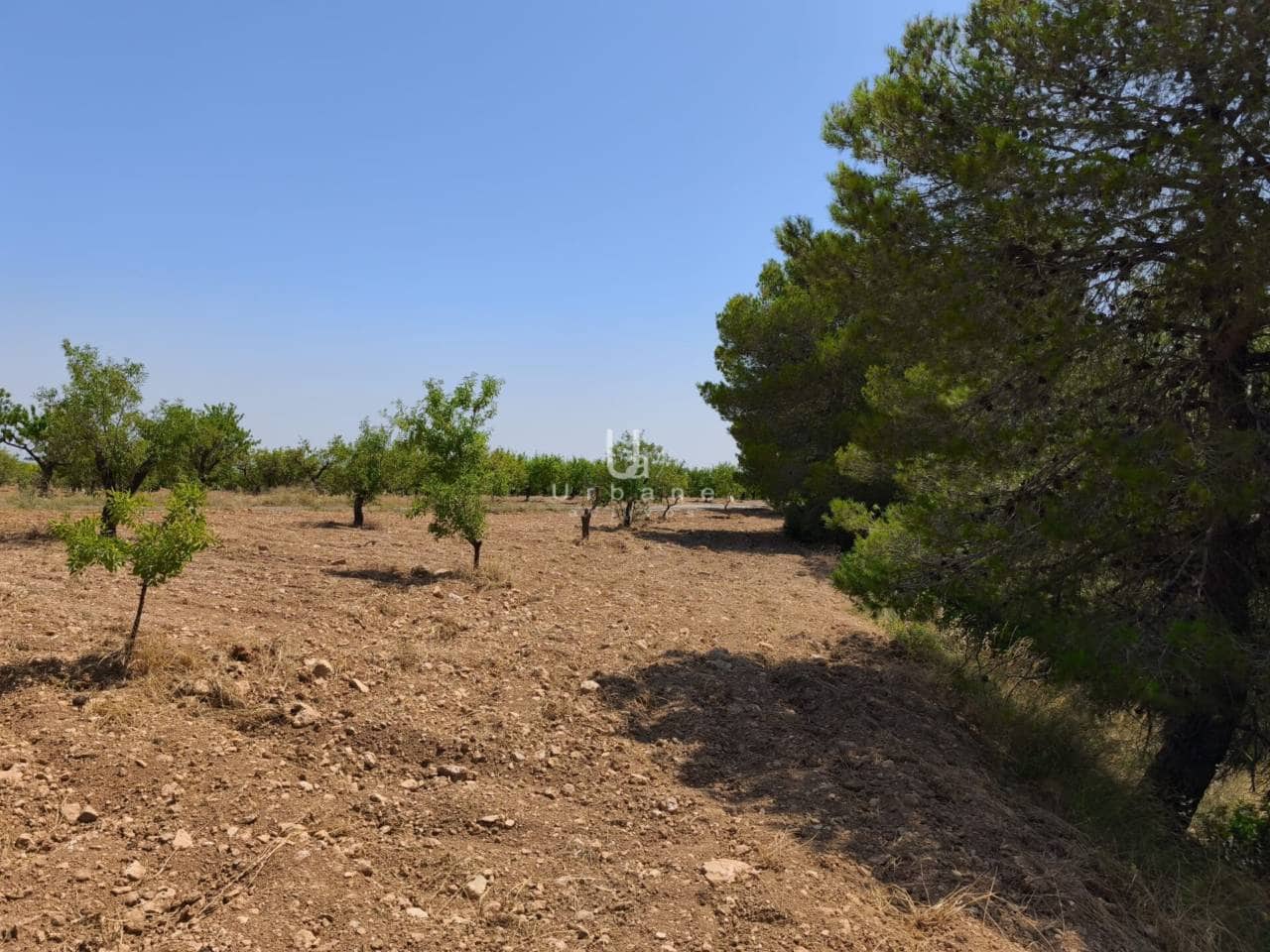 3 soverom Finca/Herregård til salgs i Mula med garasje - € 170 000 (Ref: 9077720)