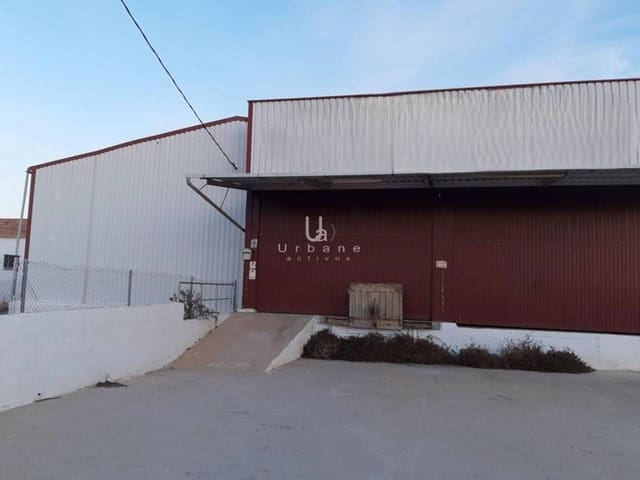 Local Commercial à vendre à Beniel - 230 000 € (Ref: 9095007)