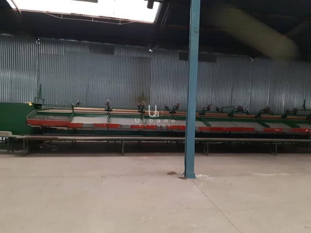 Local Commercial à vendre à Beniel - 230 000 € (Ref: 9095007)