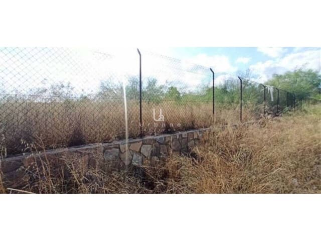 Grond te koop in El Palmar, Murcia stad - € 291.000 (Ref: 9129428)