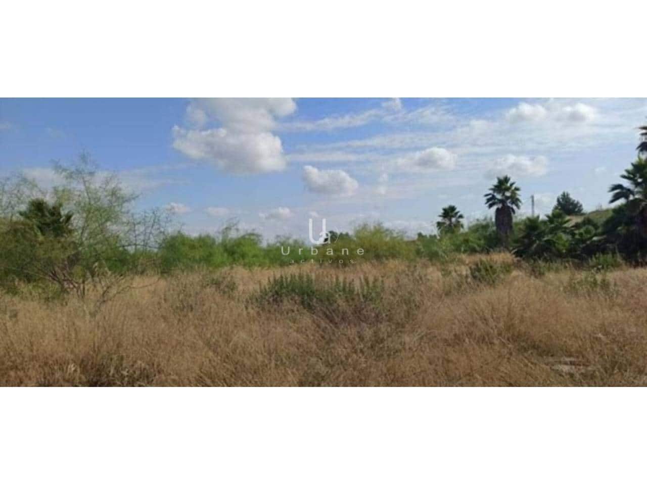 Grond te koop in El Palmar - € 291.000 (Ref: 9129428)