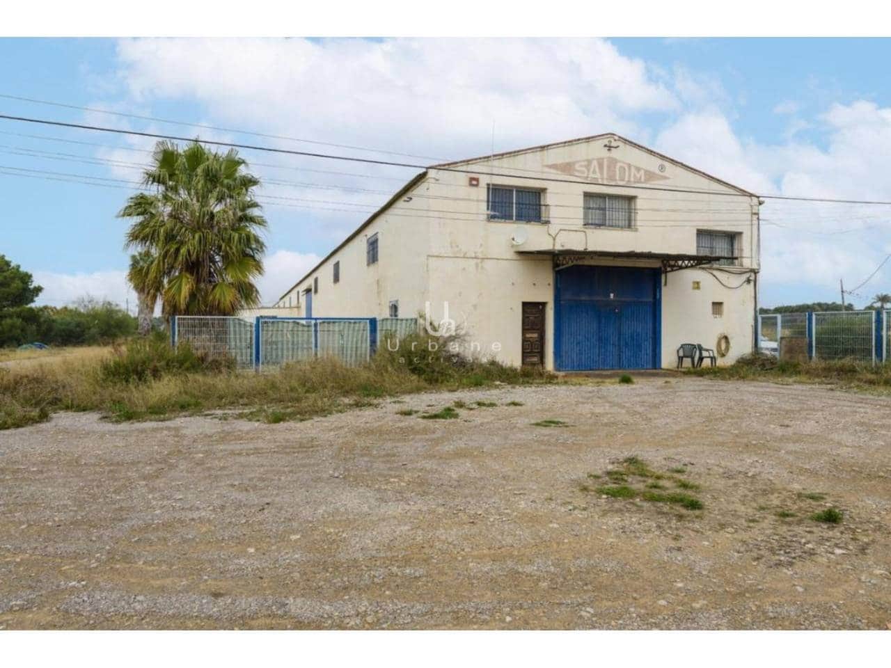 Bedrift til salgs i Benicarlo - € 140 000 (Ref: 9262236)