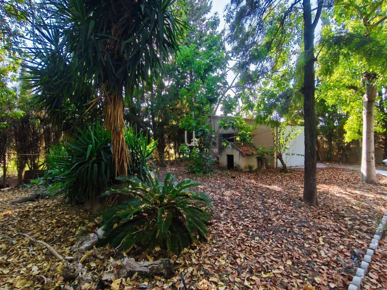 Chalet de 4 habitaciones en Las Torres de Cotillas en venta con garaje - 219.000 € (Ref: 9395619)