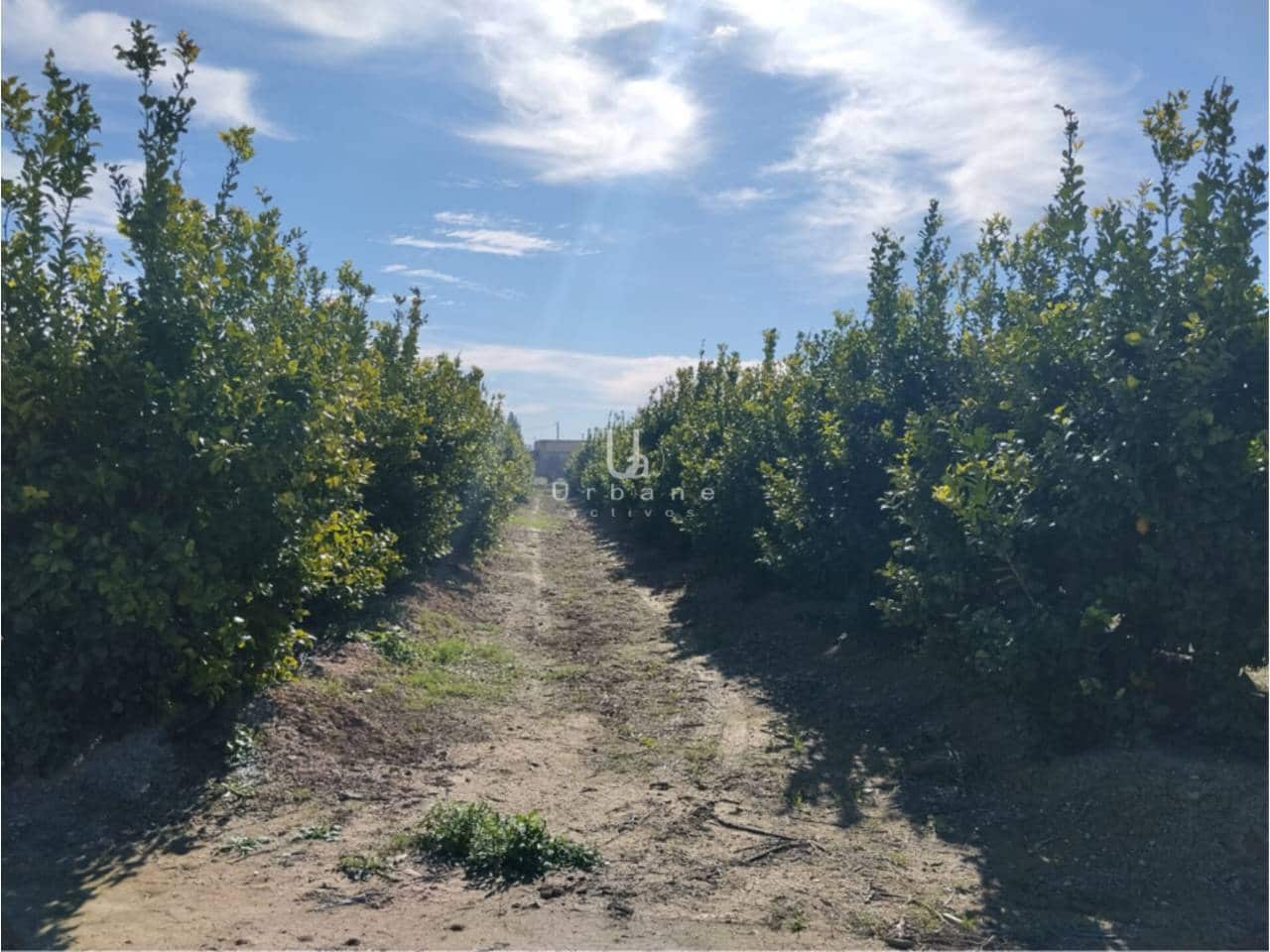 Finca/Maison de Campagne à vendre à Molina de Segura - 168 000 € (Ref: 9585300)