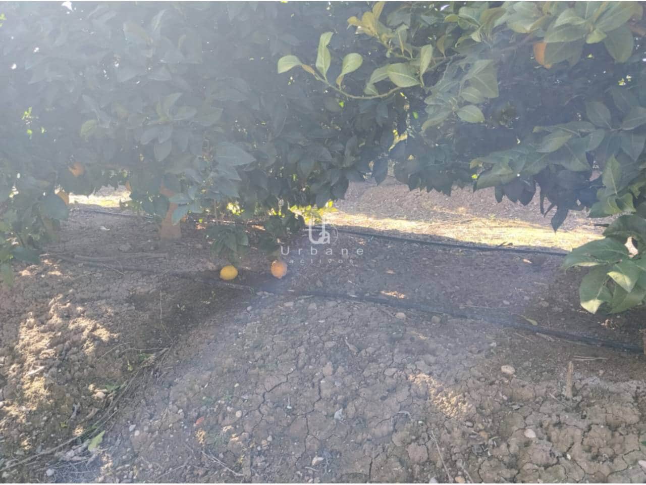 Finca/Maison de Campagne à vendre à Molina de Segura - 168 000 € (Ref: 9585300)