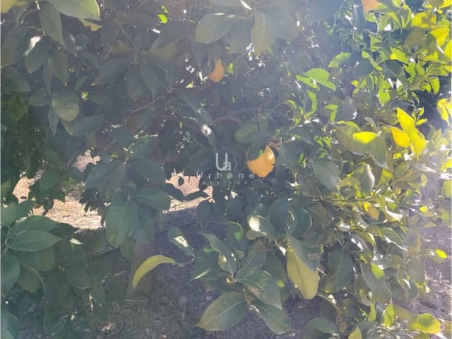 Finca/Maison de Campagne à vendre à Molina de Segura - 168 000 € (Ref: 9585300)