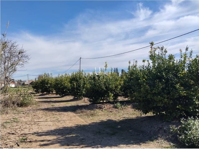 Finca/Maison de Campagne à vendre à Molina de Segura - 168 000 € (Ref: 9585300)