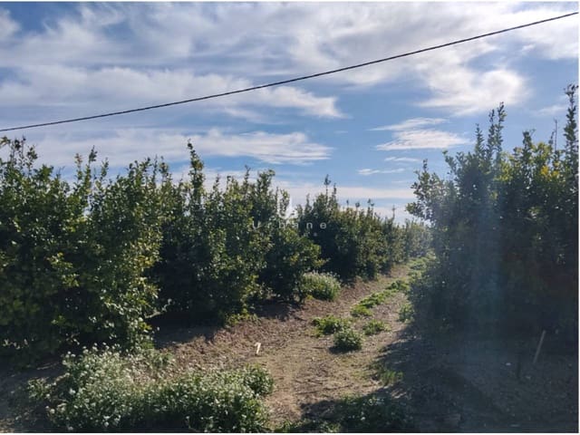 Finca/Maison de Campagne à vendre à Molina de Segura - 168 000 € (Ref: 9585300)