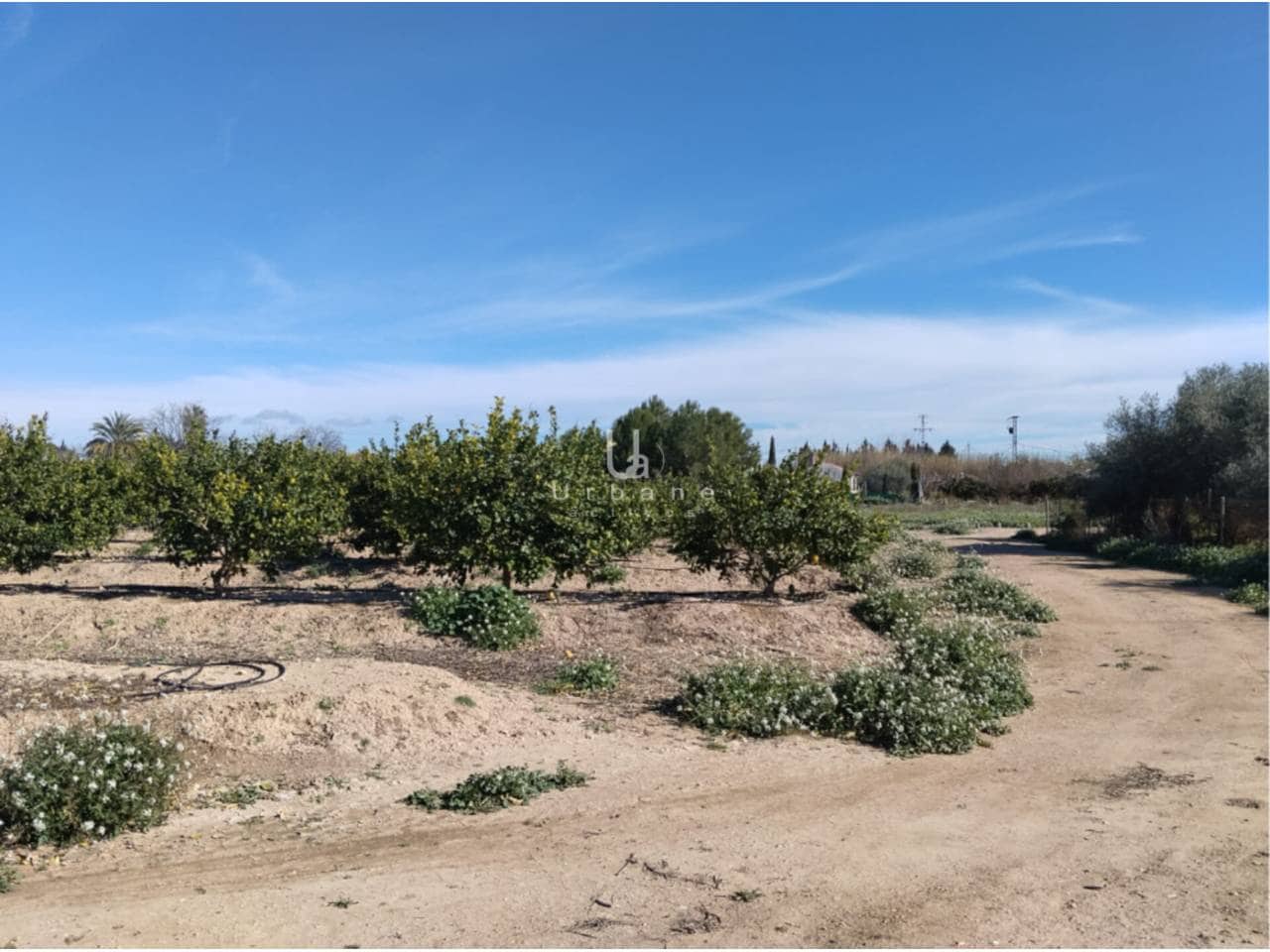 Finca/Maison de Campagne à vendre à Molina de Segura - 270 000 € (Ref: 9588105)