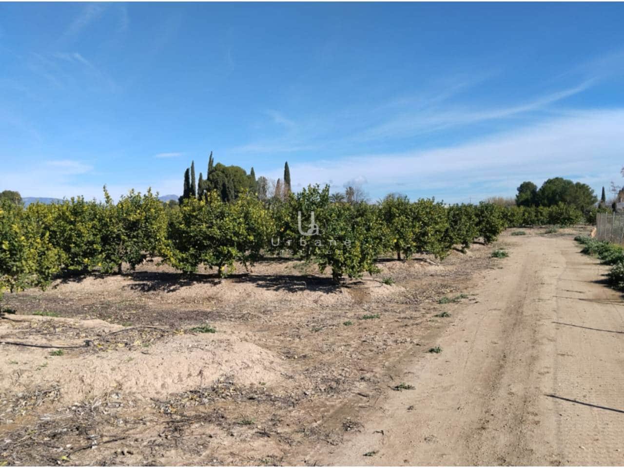 Finca/Maison de Campagne à vendre à Molina de Segura - 270 000 € (Ref: 9588105)