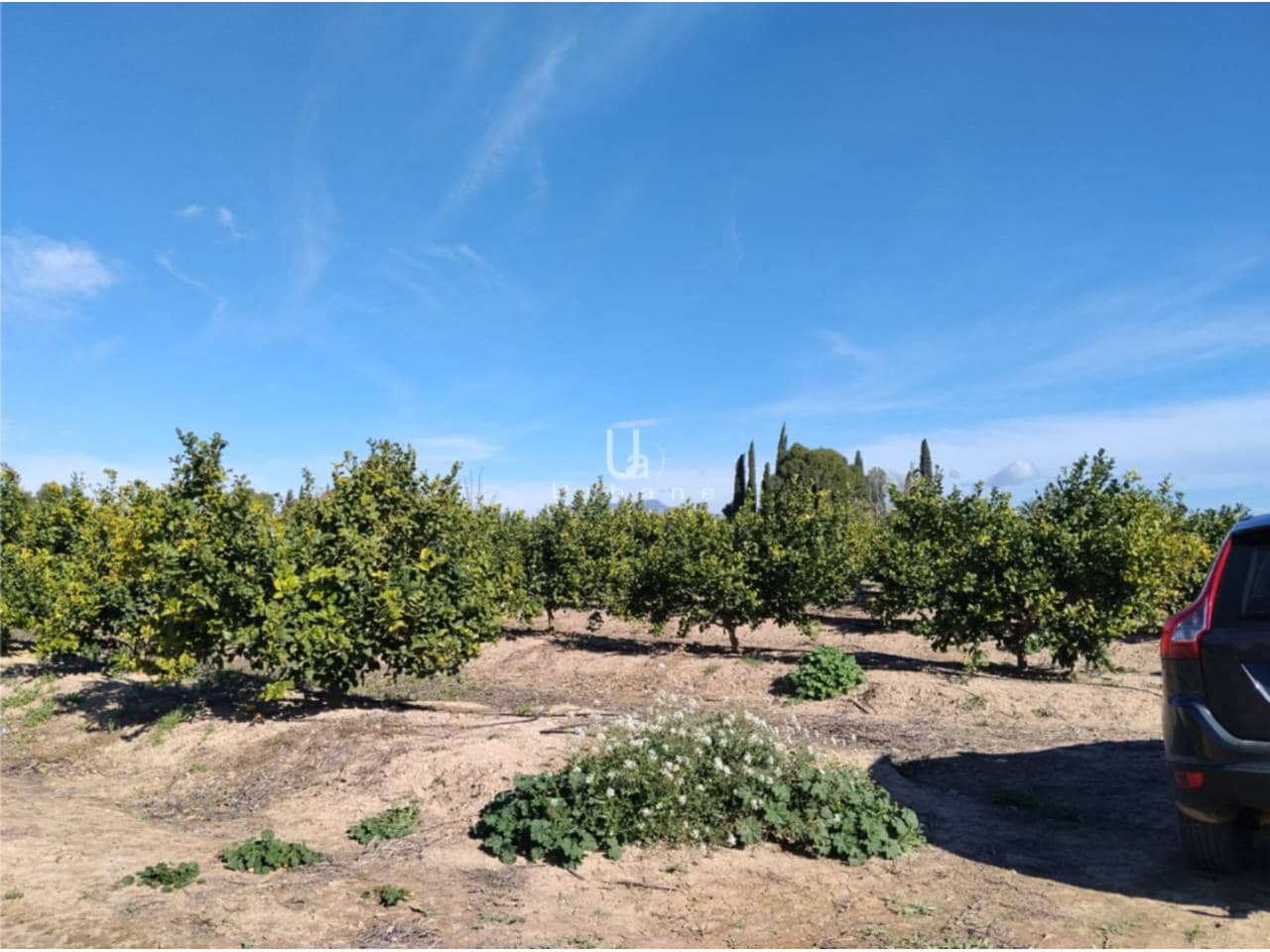 Finca/Maison de Campagne à vendre à Molina de Segura - 270 000 € (Ref: 9588105)