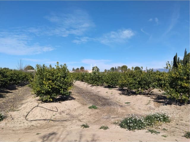 Finca/Maison de Campagne à vendre à Molina de Segura - 270 000 € (Ref: 9588105)