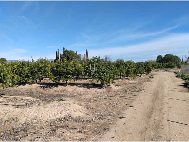 Finca/Maison de Campagne à vendre à Molina de Segura - 270 000 € (Ref: 9588105)