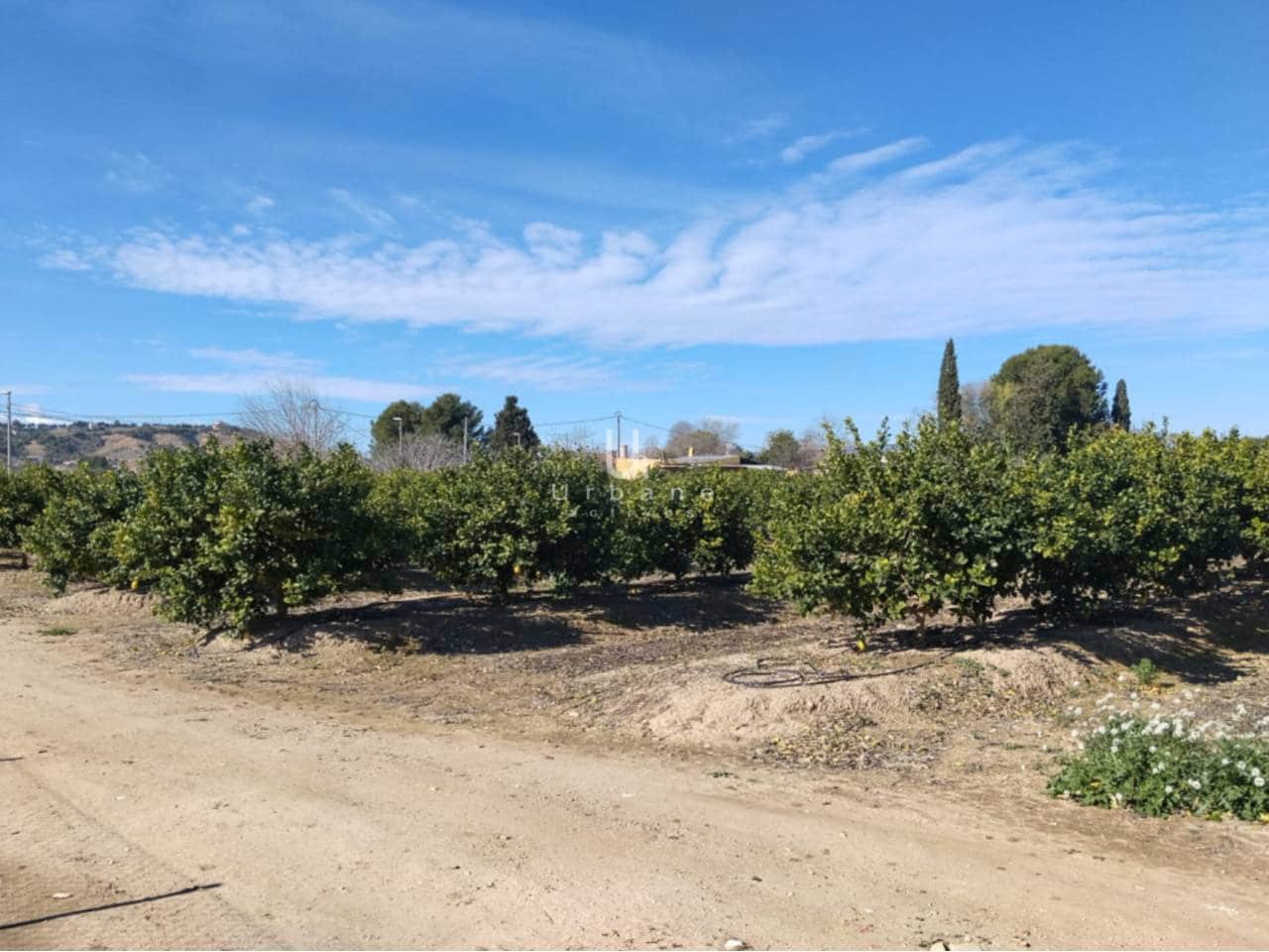 Finca/Maison de Campagne à vendre à Molina de Segura - 270 000 € (Ref: 9588105)