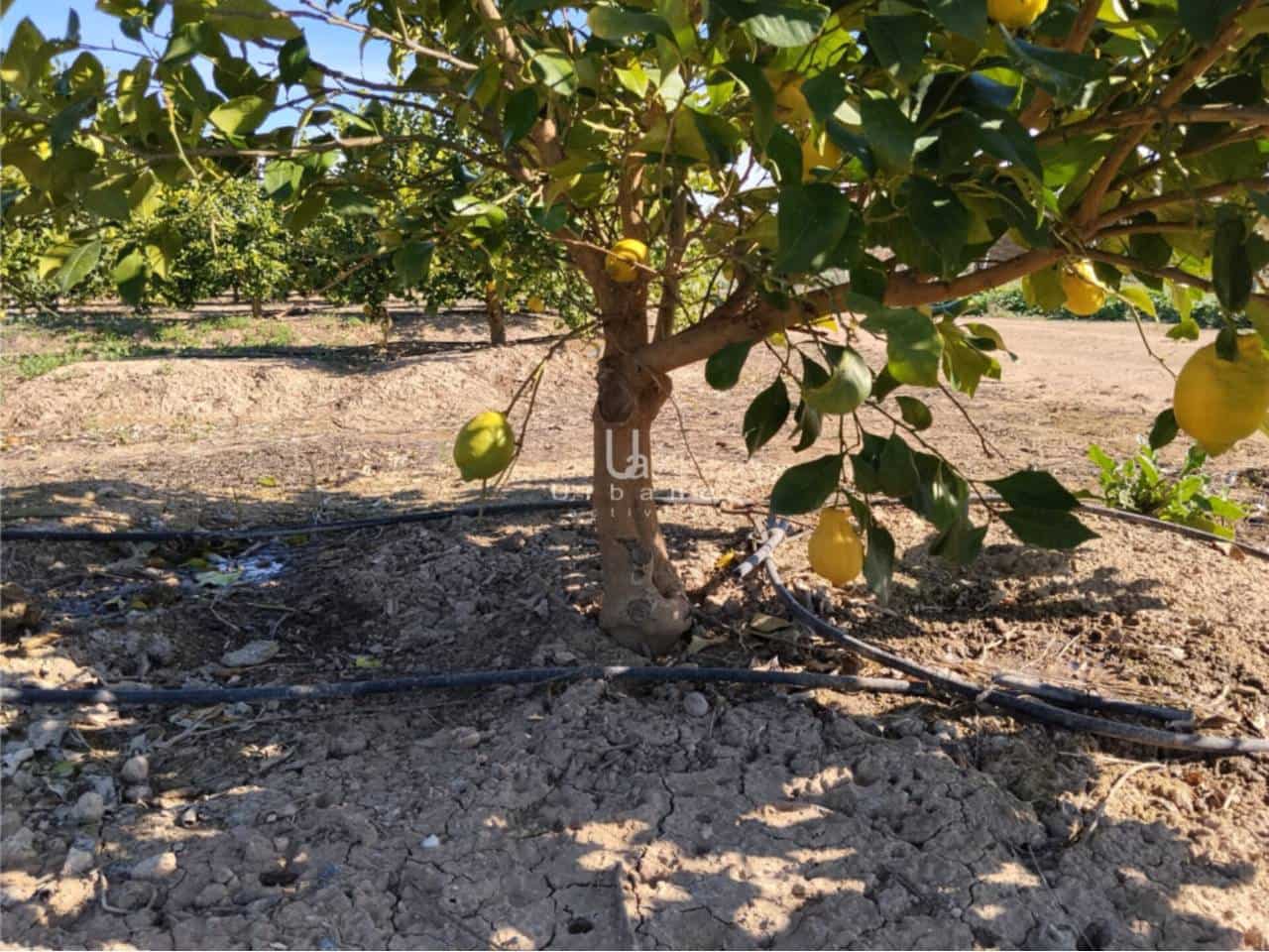 Finca/Maison de Campagne à vendre à Molina de Segura - 270 000 € (Ref: 9588105)