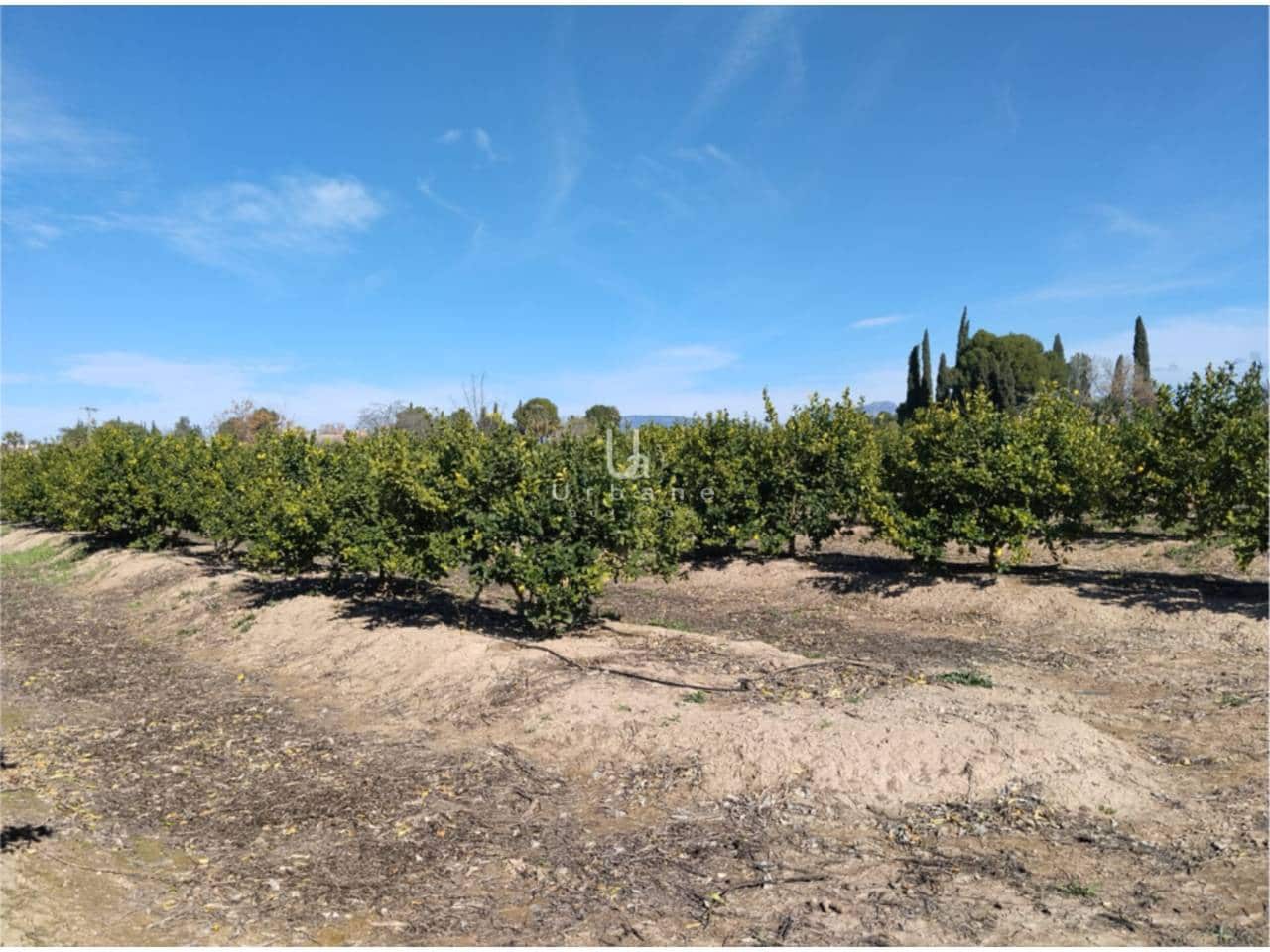 Finca/Maison de Campagne à vendre à Molina de Segura - 270 000 € (Ref: 9588105)