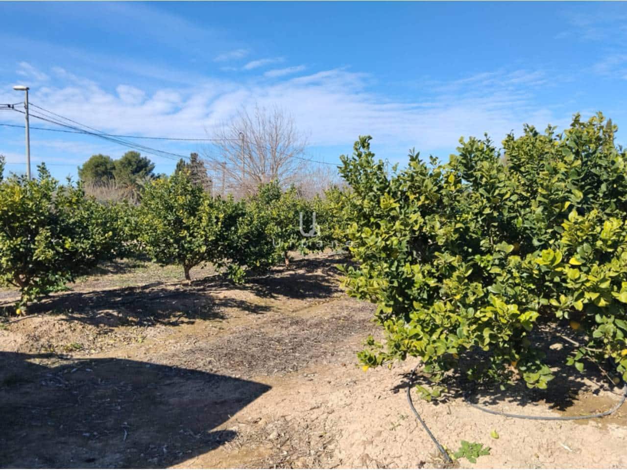 Finca/Maison de Campagne à vendre à Molina de Segura - 270 000 € (Ref: 9588105)