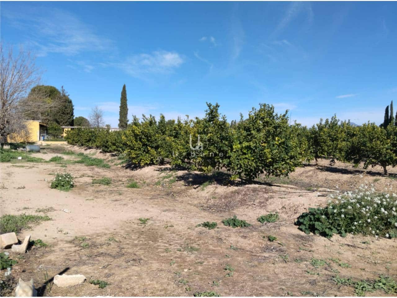 Finca/Maison de Campagne à vendre à Molina de Segura - 270 000 € (Ref: 9588105)