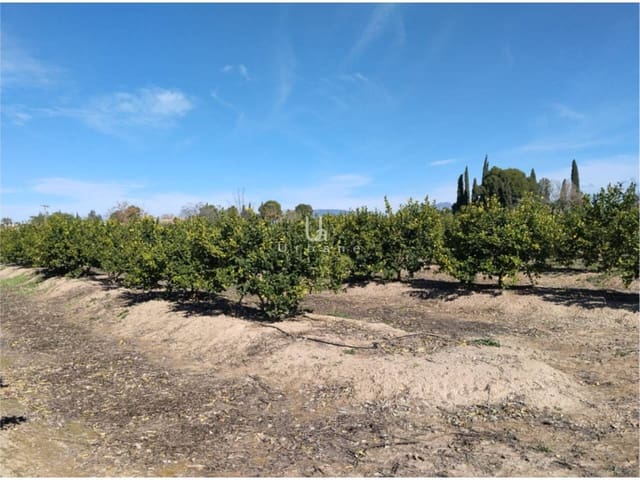 Finca/Maison de Campagne à vendre à Molina de Segura - 270 000 € (Ref: 9588105)