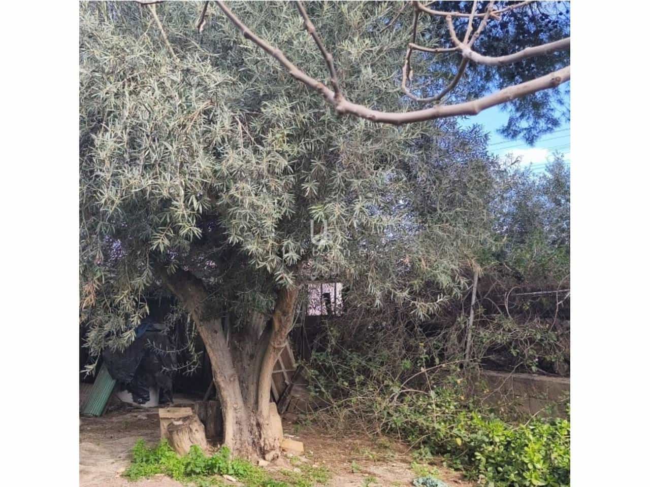 6 quarto Quinta/Casa Rural para venda em Murcia cidade - 335 000 € (Ref: 9618823)