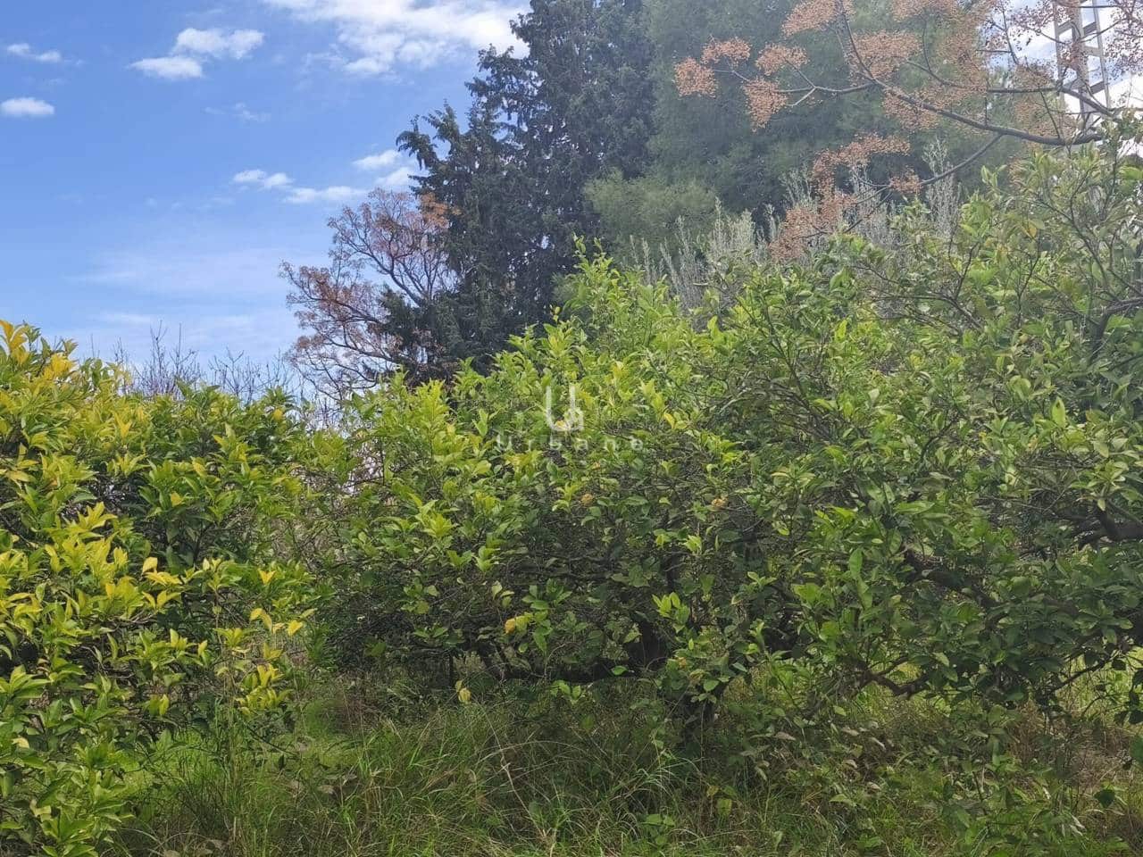 6 quarto Quinta/Casa Rural para venda em Murcia cidade - 335 000 € (Ref: 9618823)