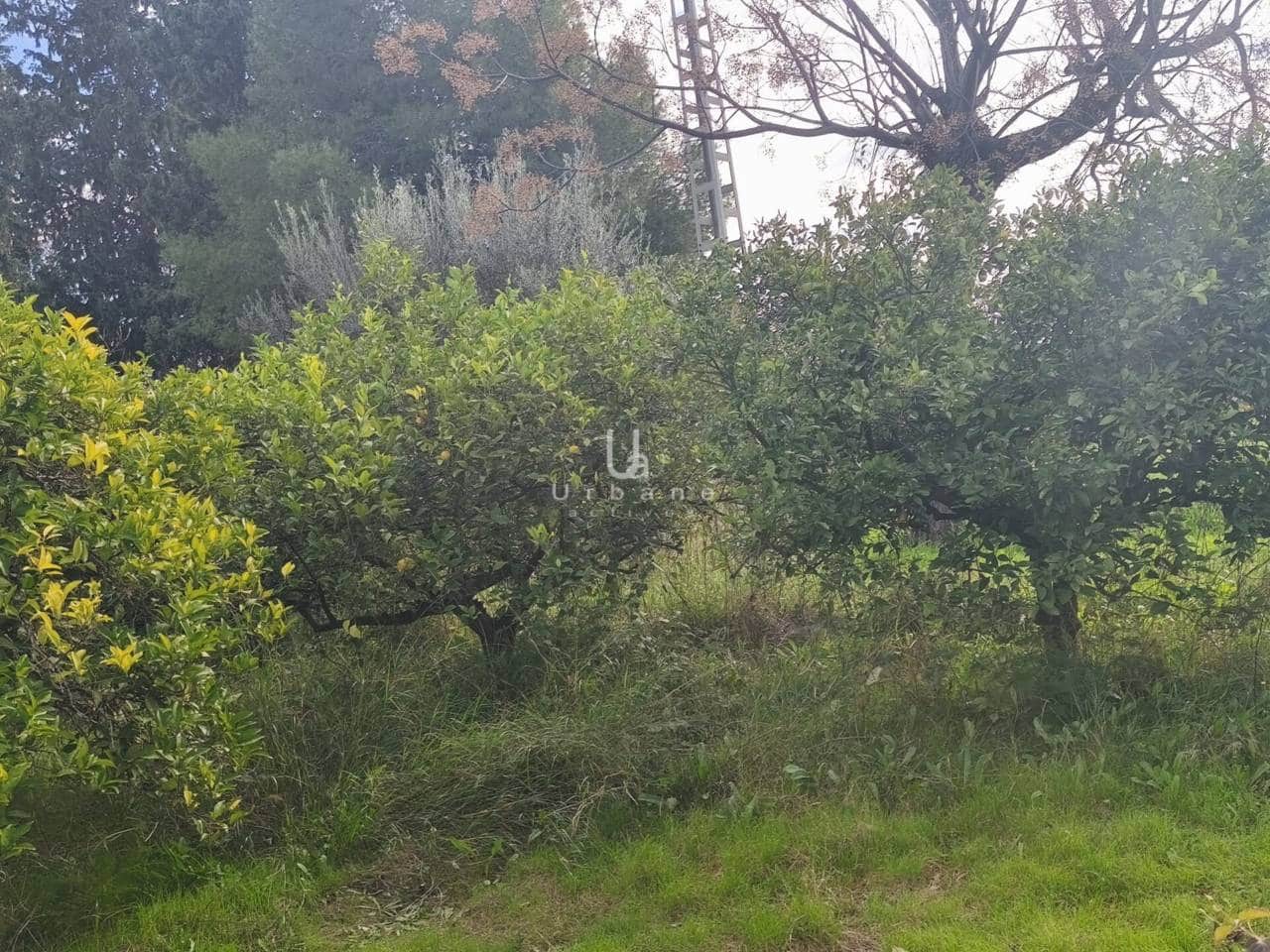 6 quarto Quinta/Casa Rural para venda em Murcia cidade - 335 000 € (Ref: 9618823)