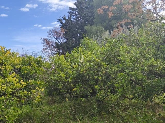 6 quarto Quinta/Casa Rural para venda em Múrcia cidade - 335 000 € (Ref: 9618823)